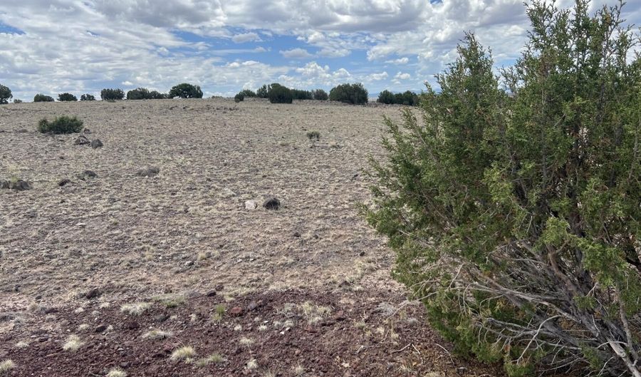 Hillcrest, Concho, AZ 85924 - 0 Beds, 0 Bath