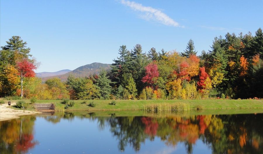 Lot 1 Pegwood Road, Campton, NH 03223 - 0 Beds, 0 Bath