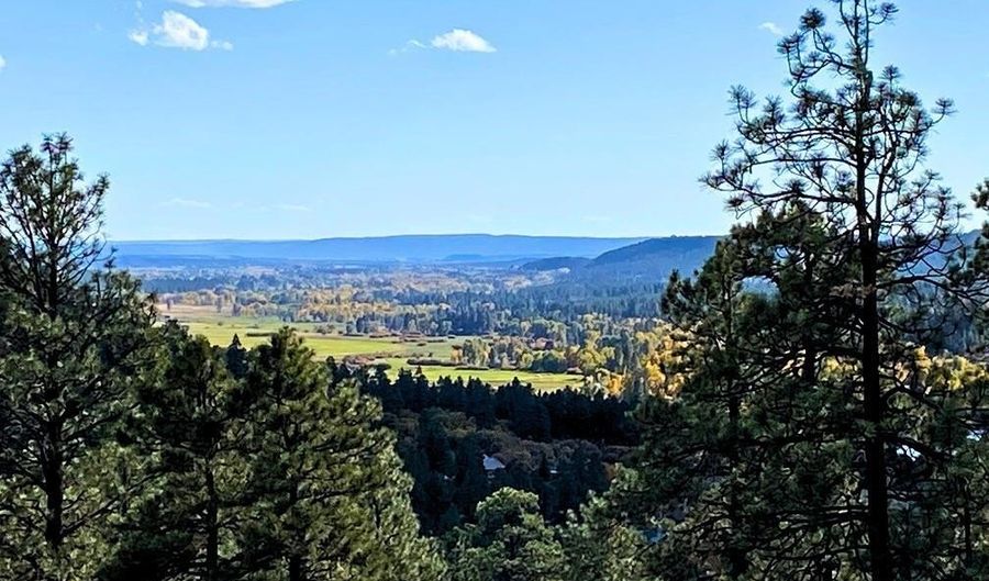 1024 Deer Ridge Dr, Bayfield, CO 81122 - 3 Beds, 3 Bath