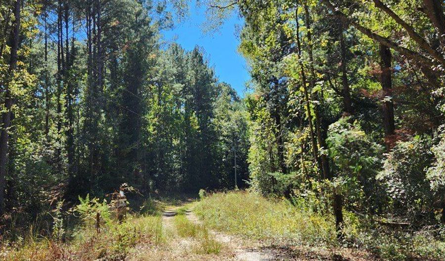 3170 Co Rd 53, Abbeville, AL 36319 - 0 Beds, 0 Bath