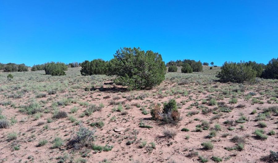 SW236 N9233, Concho, AZ 85924 - 0 Beds, 0 Bath