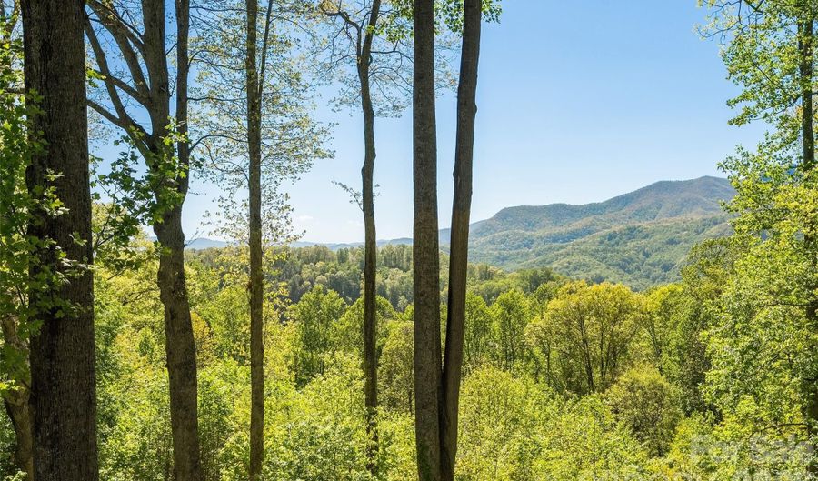 479 Old Dummy Line Rd, Balsam, NC 28707 - 3 Beds, 4 Bath