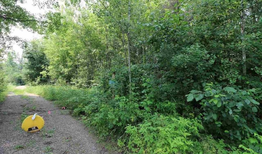 xxx Lane 51, Aurora, MN 55705 - 0 Beds, 0 Bath