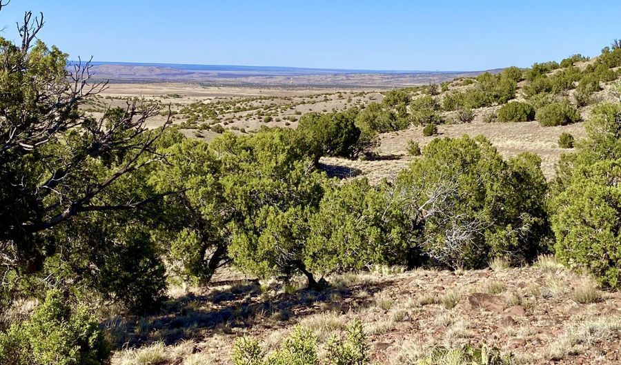 Tbd Co Rd 5062 Lot 1 3.53 Acres, Concho, AZ 85924 - 0 Beds, 0 Bath