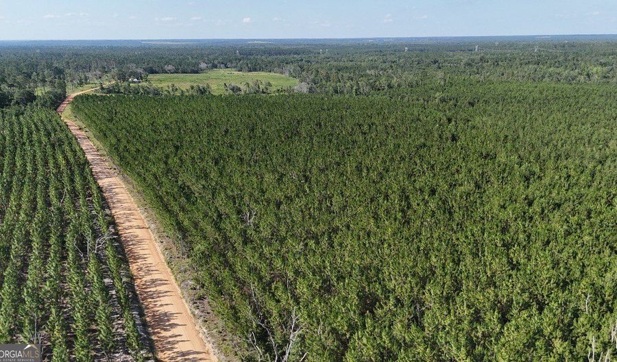 Penny Morris Road, Baxley, GA 31513 - 0 Beds, 0 Bath