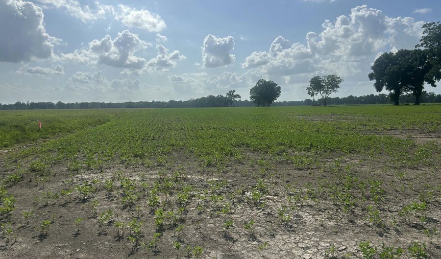 Oscar Rivette Road lot Tract 4, Arnaudville, LA 70512 - 0 Beds, 0 Bath