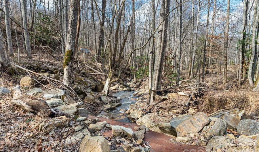 140 Wild Mountain Ln, Barnardsville, NC 28709 - 0 Beds, 0 Bath