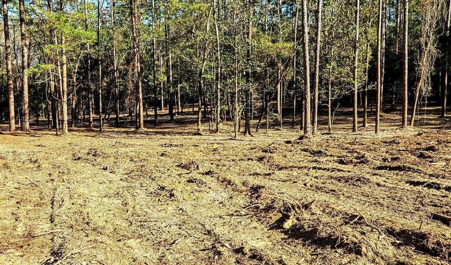 11040 County Road 138, Bay Minette, AL 36507 - 0 Beds, 0 Bath