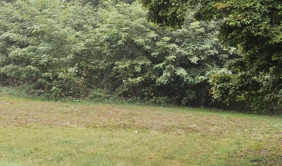 VL Weeks Street, Allegan, MI 49010 - 0 Beds, 0 Bath