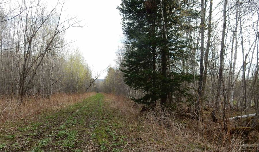 Burton Hill Road, Barton, VT 05822 - 0 Beds, 0 Bath
