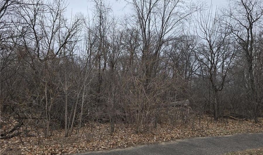 L2 B2 288th Avenue NW, Baldwin Twp., MN 55398 - 0 Beds, 0 Bath