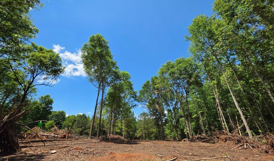 148 Berry Rd Lot 12A, Barnesville, GA 30204 - 0 Beds, 0 Bath