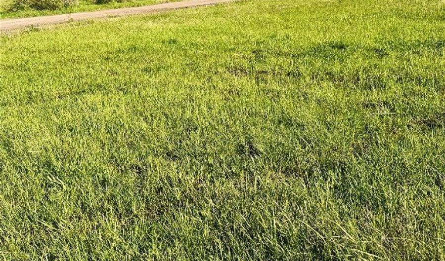 Paul Road lot 1, Browning, MT 59417 - 0 Beds, 0 Bath