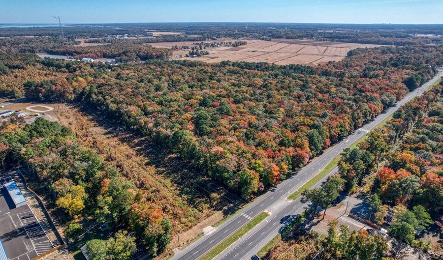 30836- PARCEL 2 DUPONT Blvd, Dagsboro, DE 19939 - 0 Beds, 0 Bath