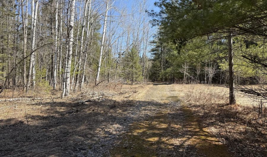 18 83 AC M32 W, Alpena, MI 49707 - 0 Beds, 0 Bath