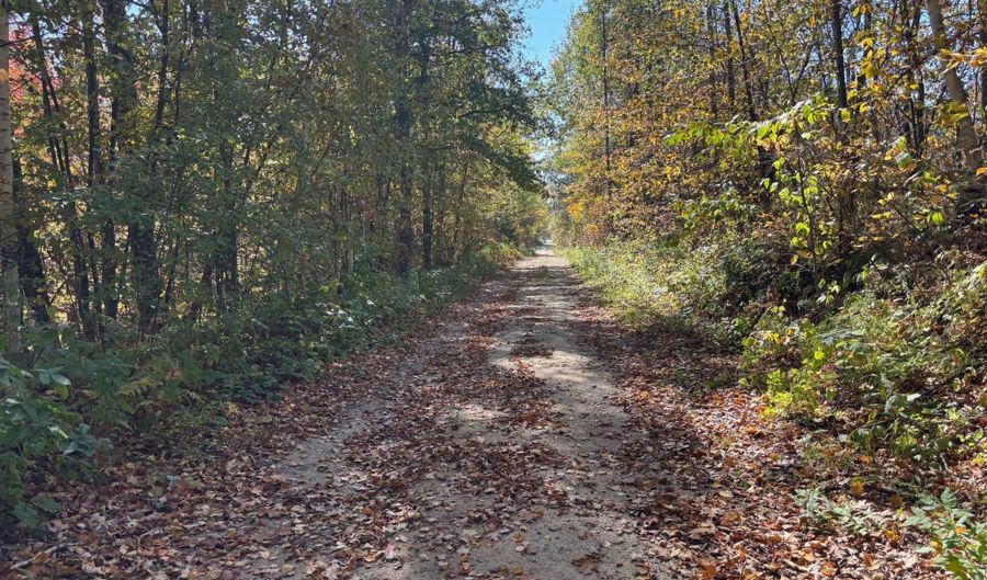 County Road 12, Akeley, MN 56433 - 0 Beds, 0 Bath