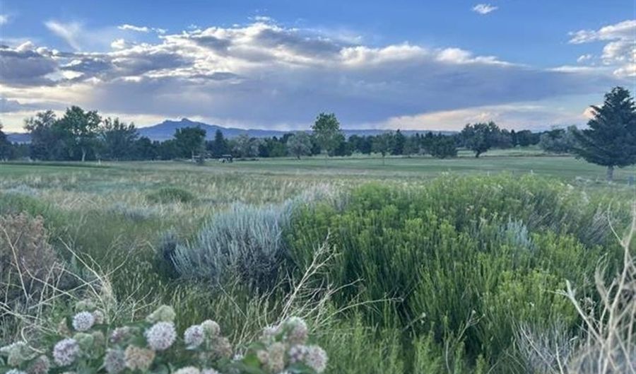 714 720 Olive Glenn Dr 48 & 49, Cody, WY 82414 - 0 Beds, 0 Bath
