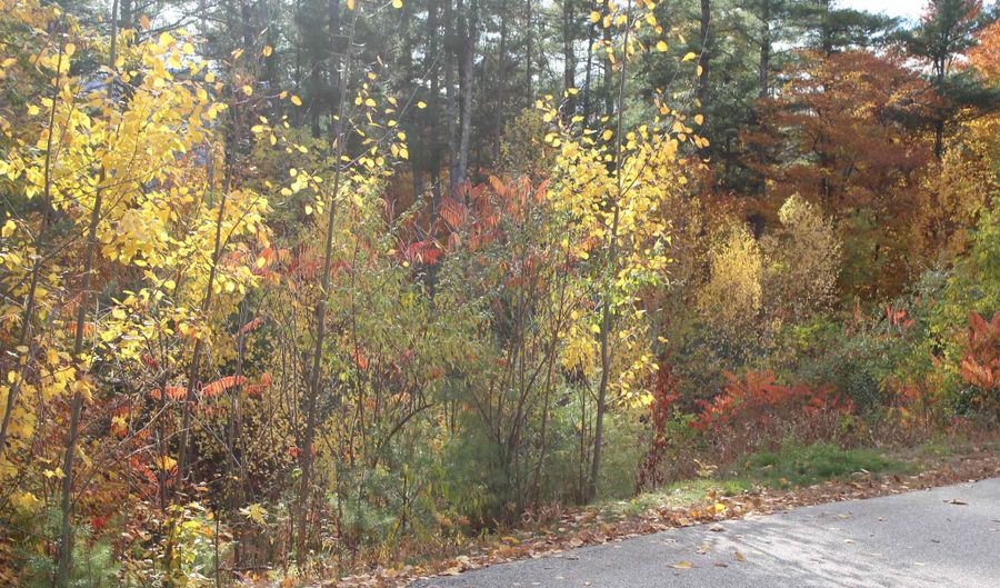 3 Beechwoods Dr Lot 3, Bartlett, NH 03845 - 0 Beds, 0 Bath