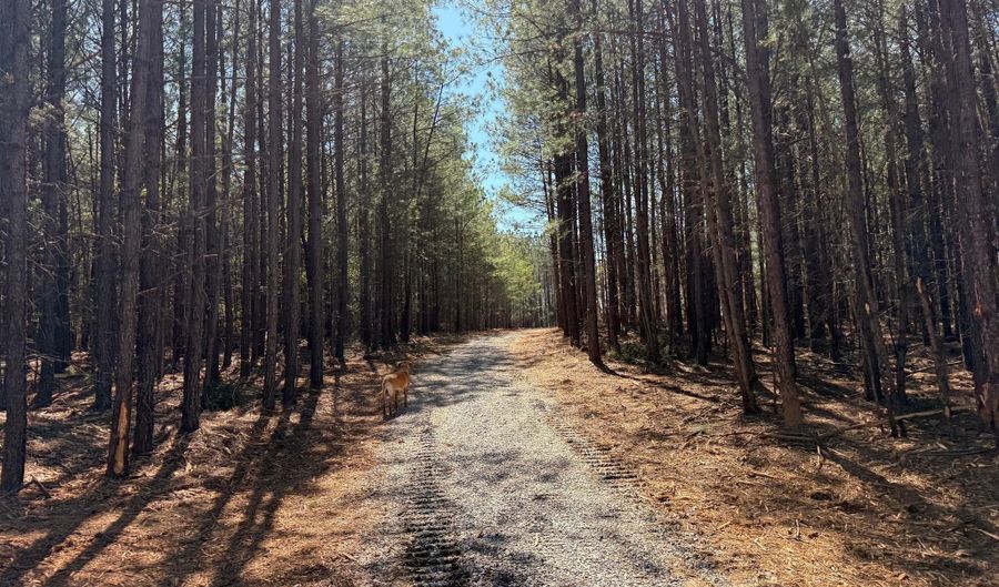 MOUNTAIN CUT RD lot B, Appomattox, VA 24522 - 0 Beds, 0 Bath