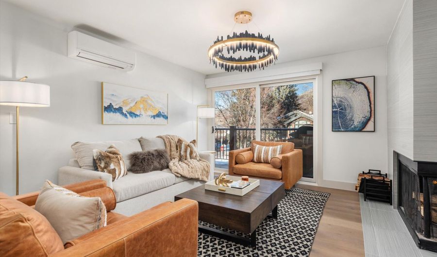 205 E Durant Ave Unit 1G, Aspen, CO 81611 - 2 Beds, 2 Bath