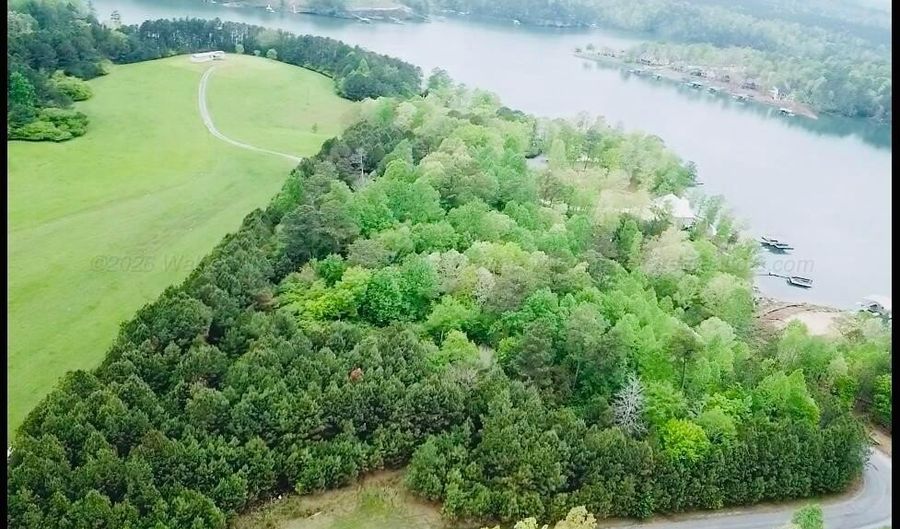 BRUSHY Ln, Arley, AL 35541 - 0 Beds, 0 Bath