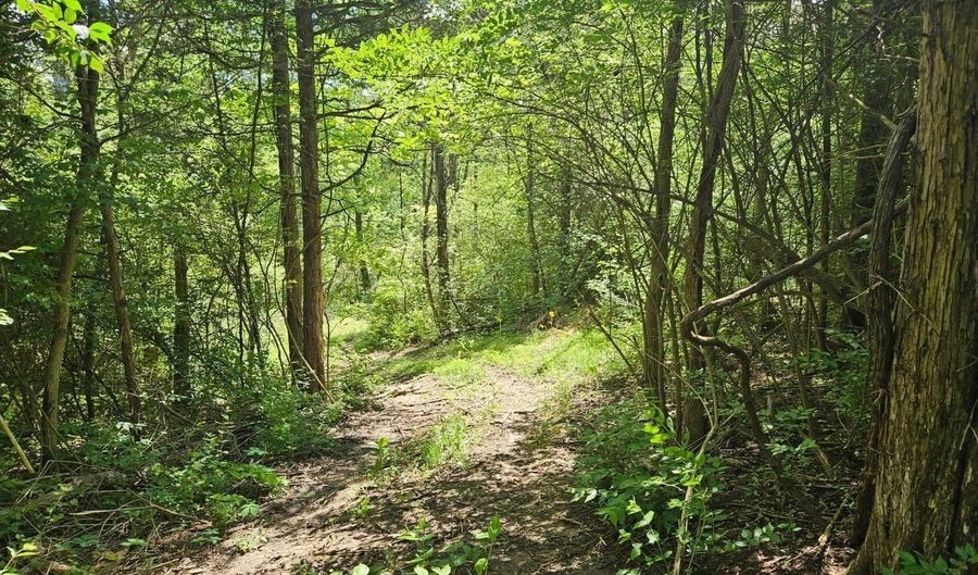Eugene lot 19, Aurora, IN 47001 - 0 Beds, 0 Bath