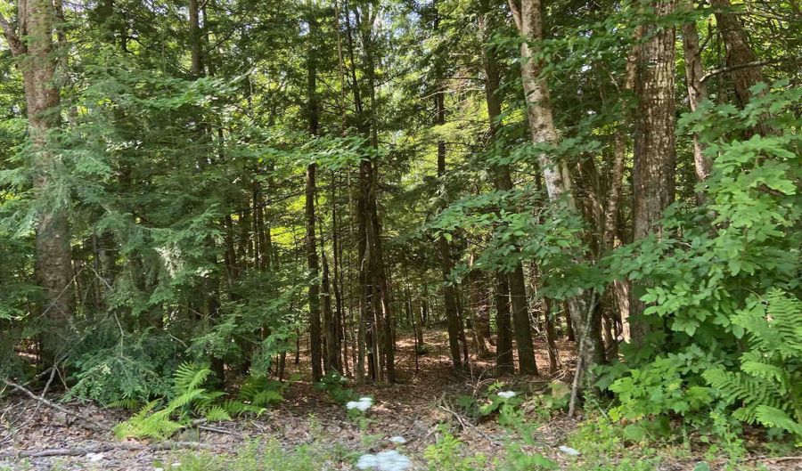 Tyler Way 34, Bath, NH 03740 - 0 Beds, 0 Bath