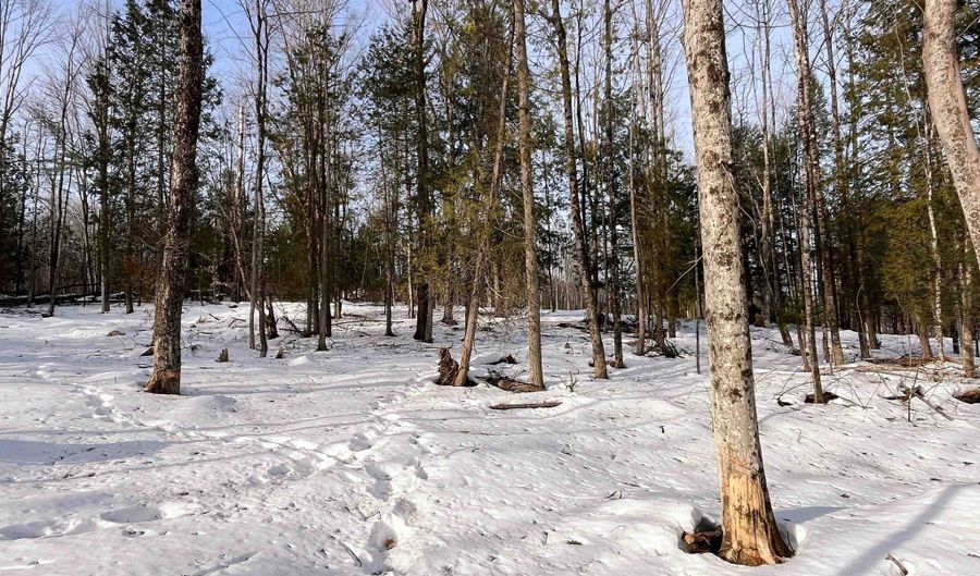 0 Duck Pond Rd, Barton, VT 05822 - 0 Beds, 0 Bath
