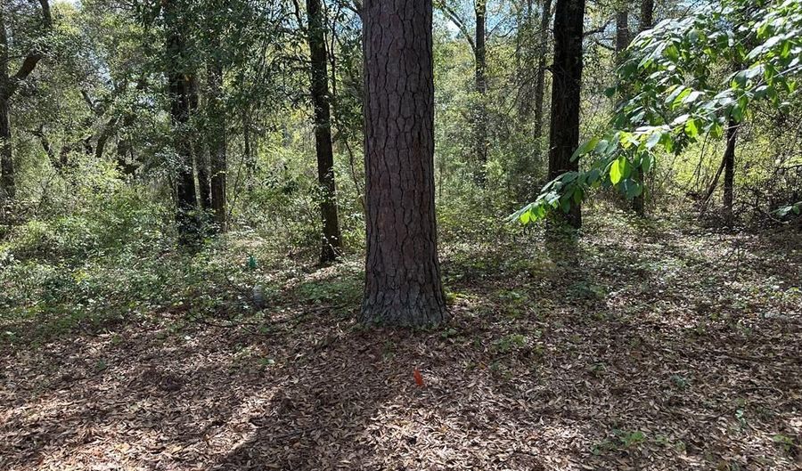 Lot 8C Knollwood Circle, Bainbridge, GA 39819 - 0 Beds, 0 Bath
