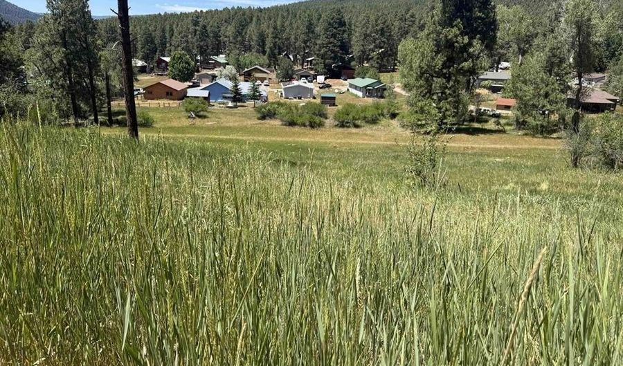 473 Alpine Forest Dr, Bayfield, CO 81122 - 0 Beds, 0 Bath