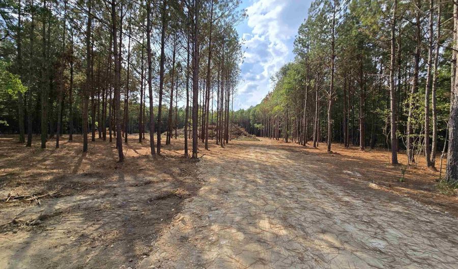 5 88 Acres COVINGTON AVENUE Lot 16 Trac1 And Trac2, Attalla, AL 35954 - 0 Beds, 0 Bath
