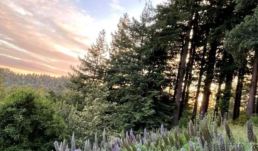 132 Pax Place Ct, Aptos, CA 95003 - 3 Beds, 3 Bath