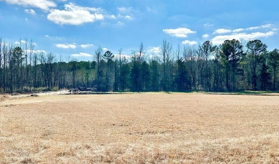 Lot 9 The Arbor Subd. Endville Road, Belden, MS 38826 - 0 Beds, 0 Bath