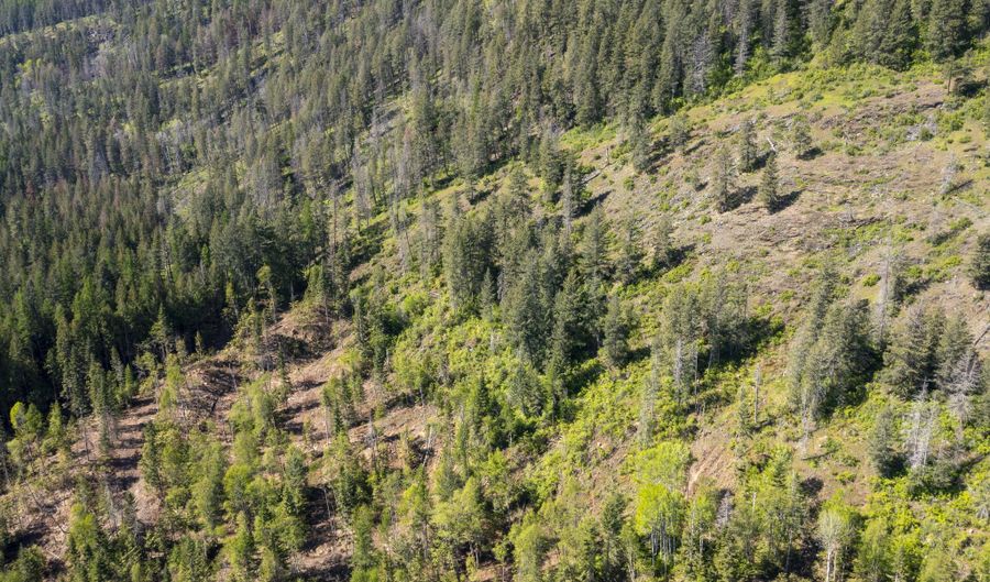 NNA WESTSIDE RD PARCEL 9, Bonners Ferry, ID 83805 - 0 Beds, 0 Bath