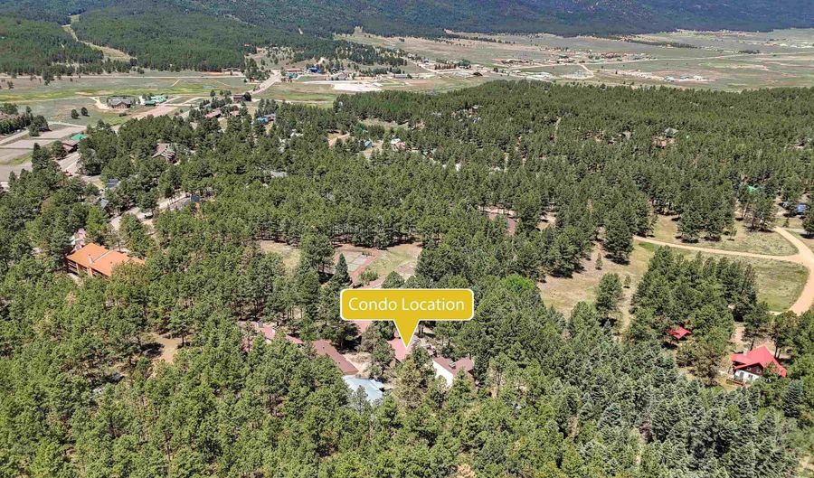 64 Mammoth 202, Angel Fire, NM 87710 - 2 Beds, 2 Bath