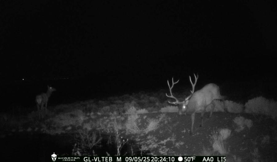 73 Arellano Rd, Amalia, NM 87512 - 2 Beds, 0 Bath