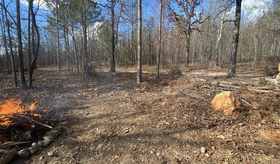 12700 PLANT Rd, Alpine, AL 35014 - 0 Beds, 0 Bath