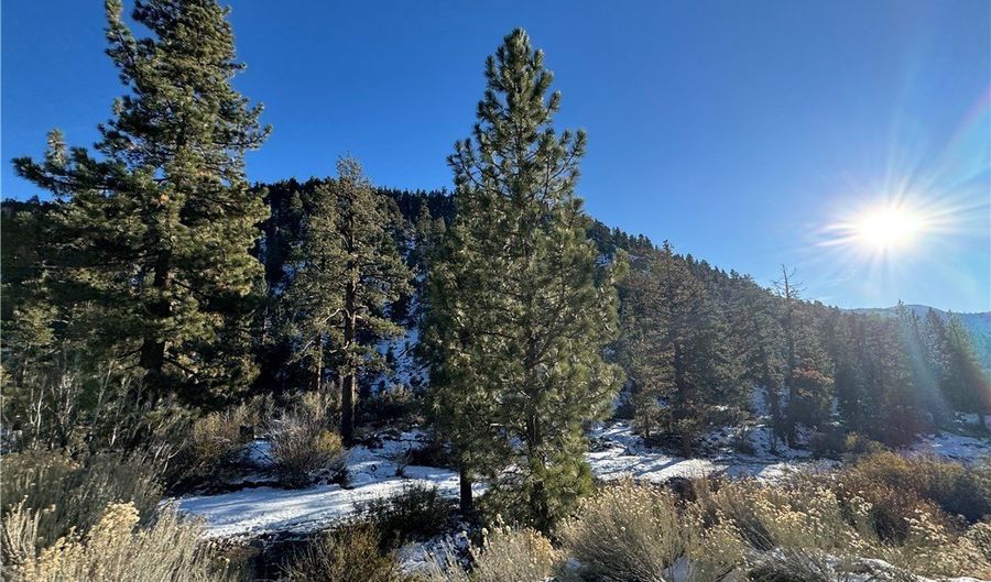 12 Barton Flats Rd, Angelus Oaks, CA 92305 - 3 Beds, 3 Bath