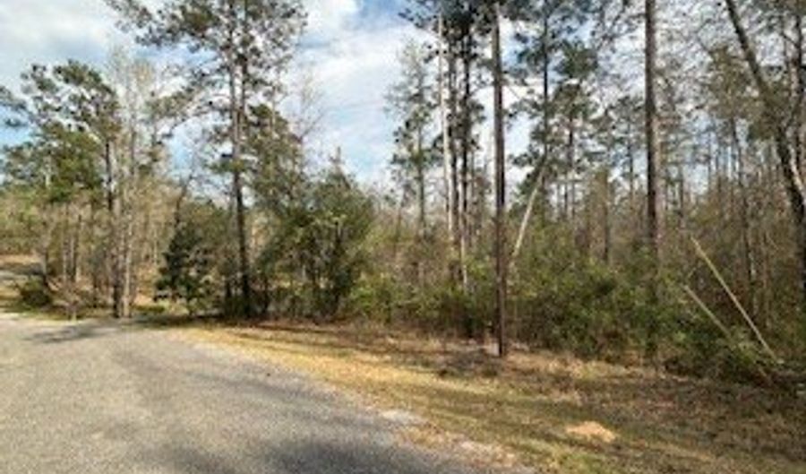 0 Woodland Dr, Abbeville, AL 36310 - 0 Beds, 0 Bath