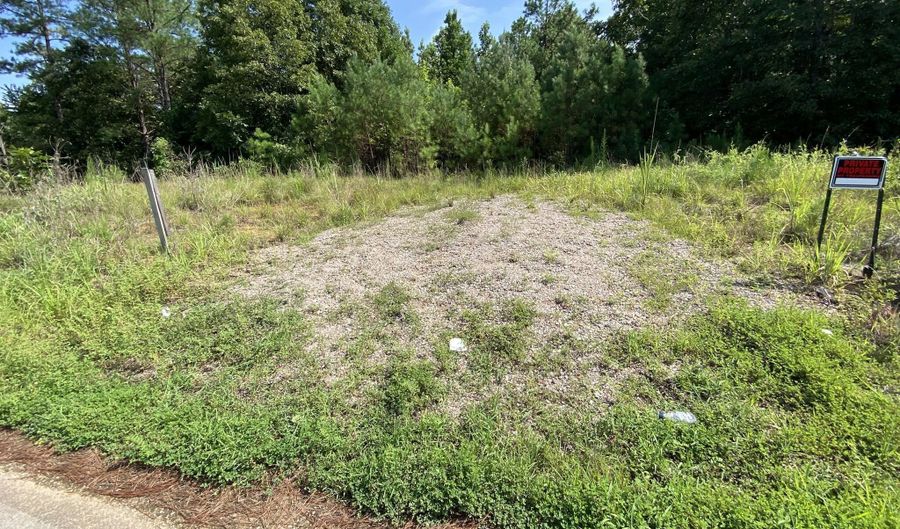 1258 Otis Paine Rd, Bethel Springs, TN 38315 - 0 Beds, 0 Bath