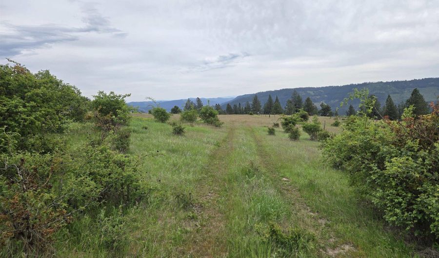 1521 Summitview Dr, Ahsahka, ID 83520 - 2 Beds, 1 Bath