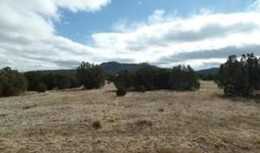 23 Co Rd 8021, Concho, AZ 85924 - 0 Beds, 0 Bath