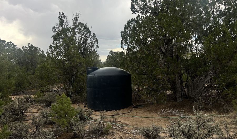 Forest Road 556, Carson, NM 87517 - 0 Beds, 0 Bath