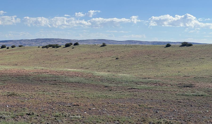 1342 County Road 5020, Concho, AZ 85924 - 0 Beds, 0 Bath