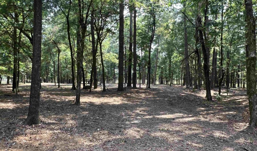 0 CR 3201 & CR 3203, De Kalb, TX 75559 - 0 Beds, 0 Bath