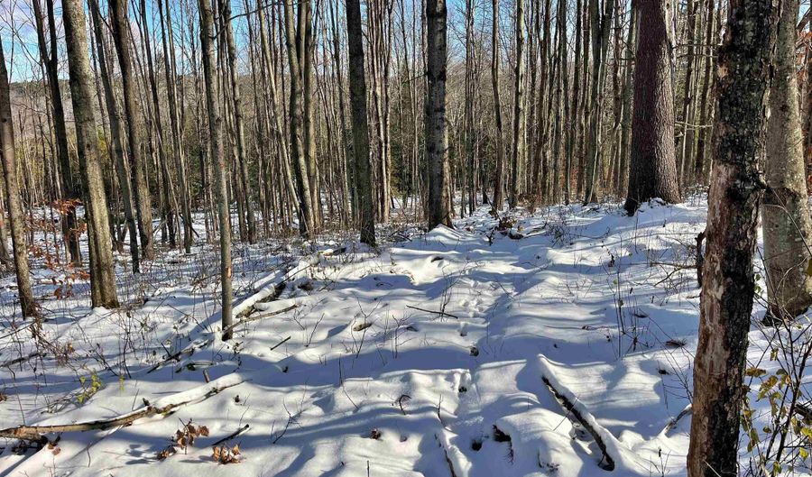 001 Duck Pond Rd Lot #1, Barton, VT 05822 - 0 Beds, 0 Bath
