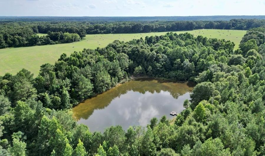 County Road 127, Banks, AL 36005 - 0 Beds, 0 Bath