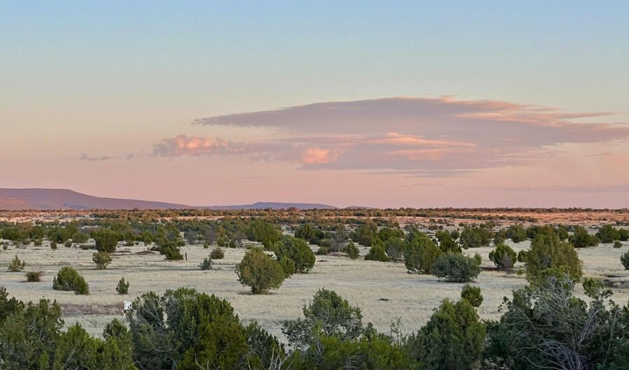 317 Forest Line Cir, Ash Fork, AZ 86320 - 0 Beds, 0 Bath