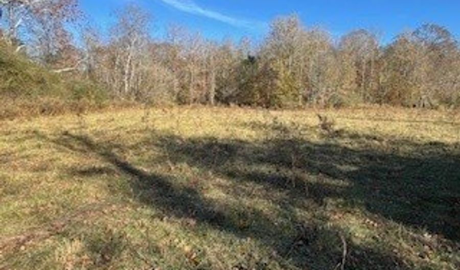 Julius Bridge Road, Ball Ground, GA 30107 - 0 Beds, 0 Bath