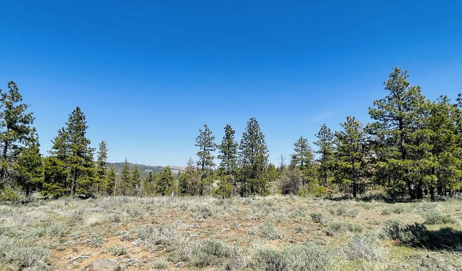 Jensen Quarry RD, Bickleton, WA 99322 - 0 Beds, 0 Bath